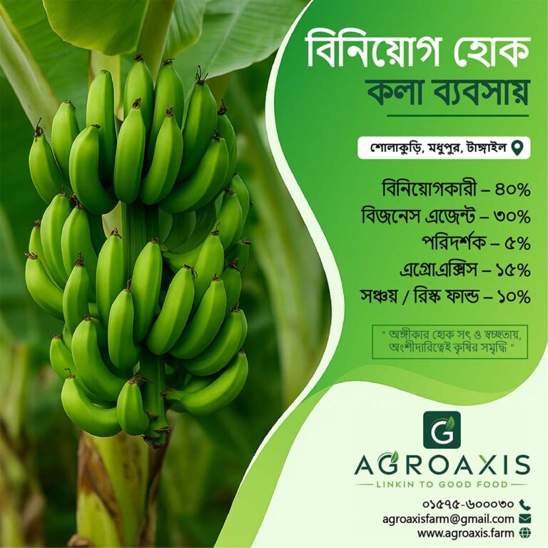 Banana investment agroaxis