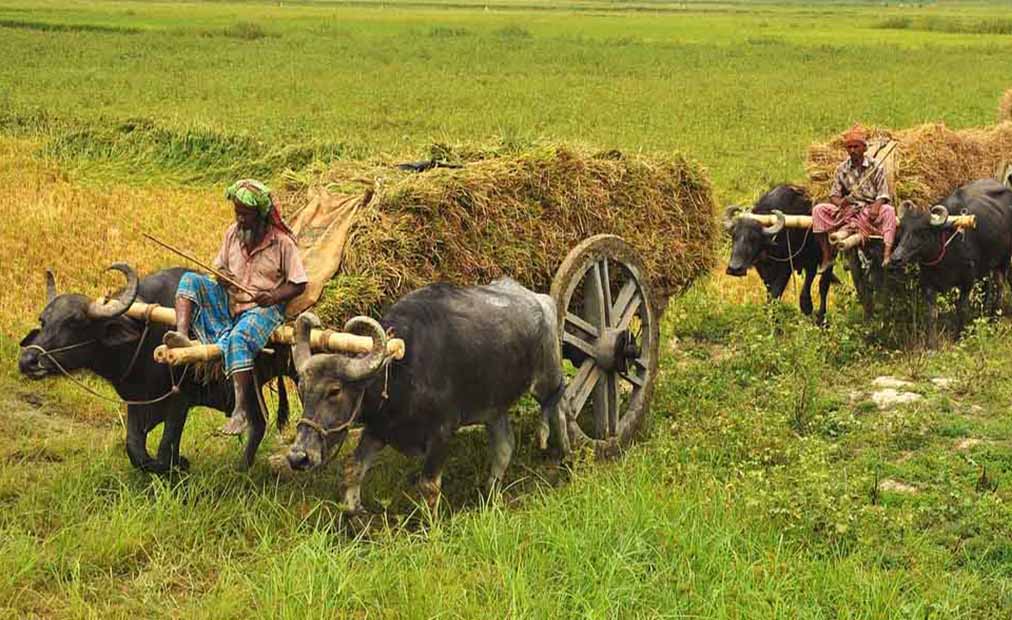agroaxis farming investment