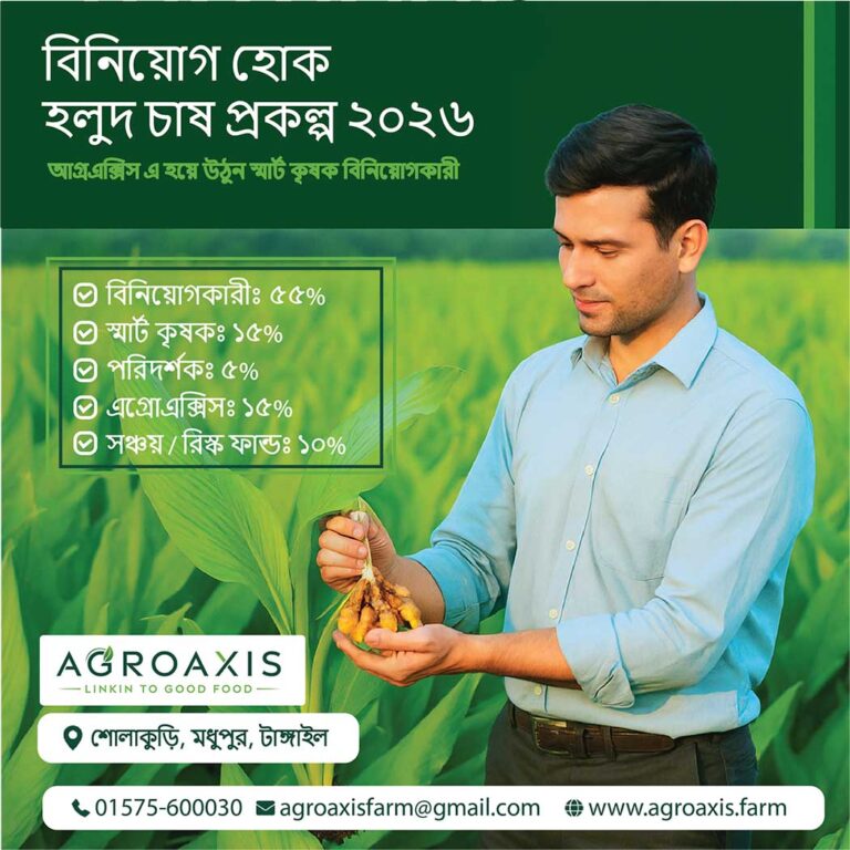 turmeric - investment - agroaxis
