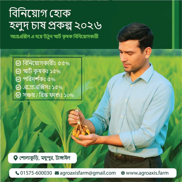 turmeric - investment - agroaxis